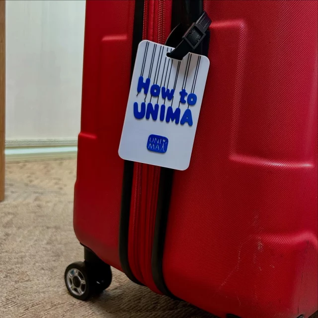 📌 Learn how UNIMA works. 
📎 Download the document since the link in the bio.
#unimainternational #puppetry